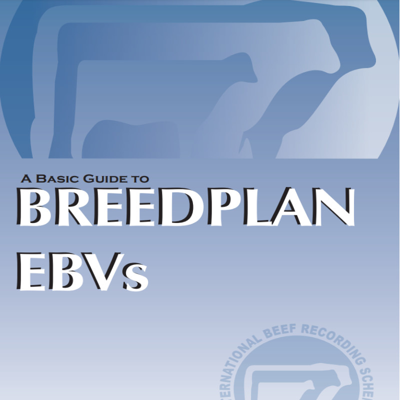 Breedplan and How to Read EPV