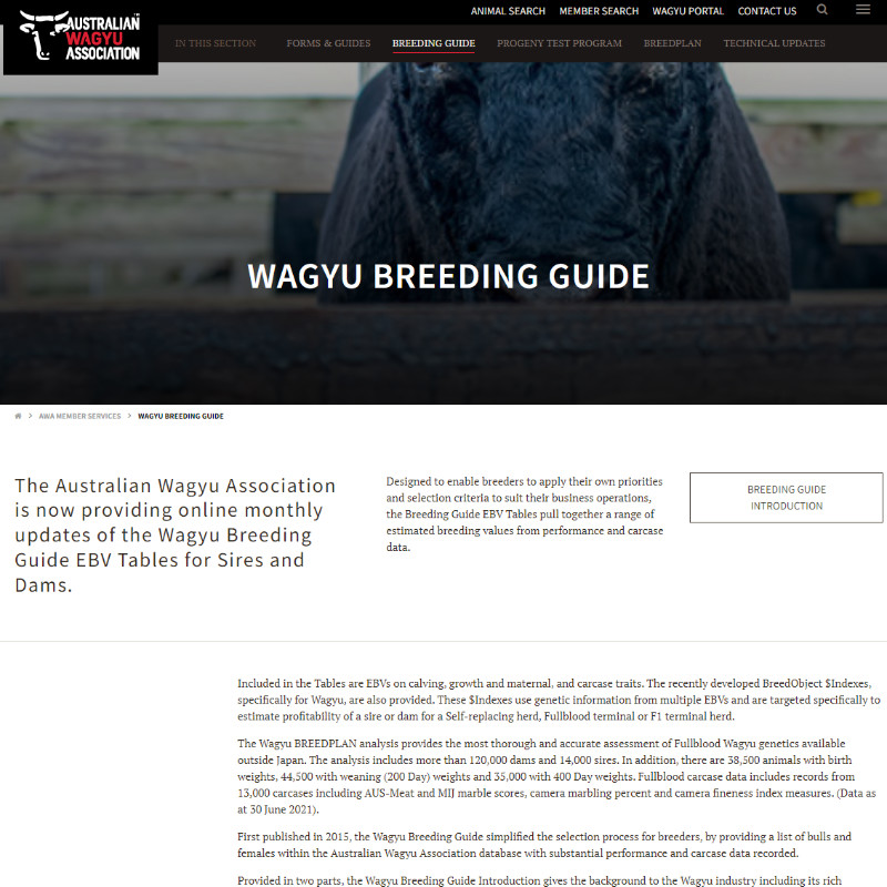 Wagyu Breeding Guide