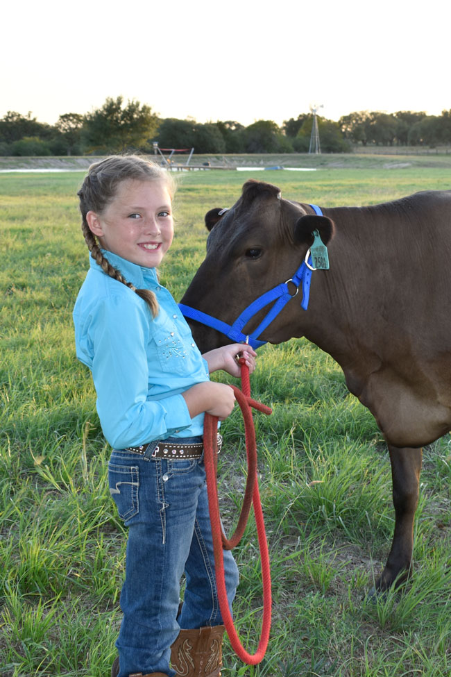 young cow breeder